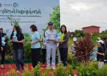 Reforestation honor for the National Mother's day 2019